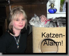 Nette Katzen